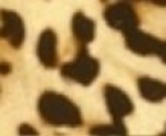 POLI-FLEX® IMAGE 4281 Leopard